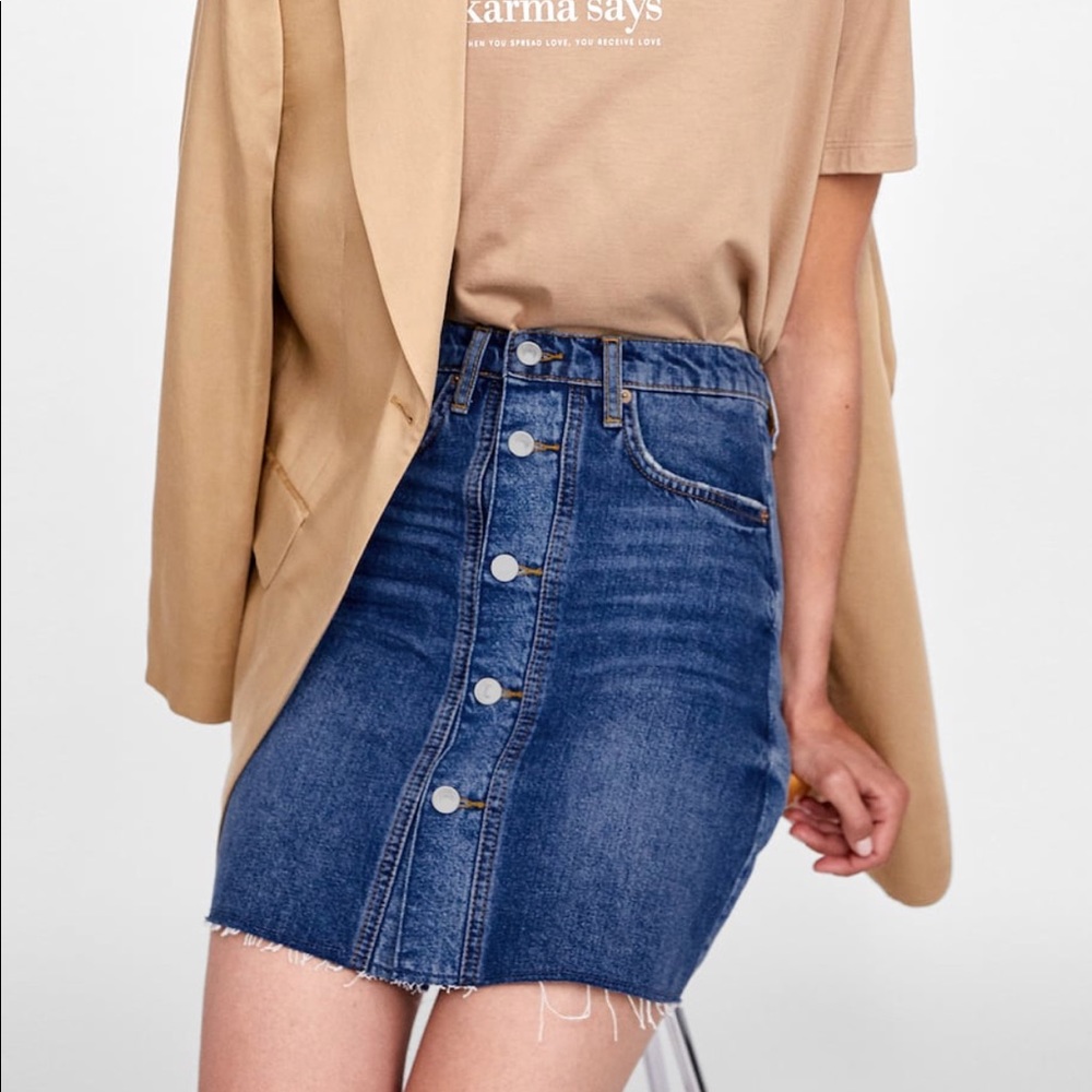 Zara Mini Skirt